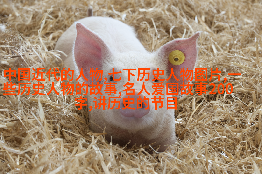 奥索拉斯