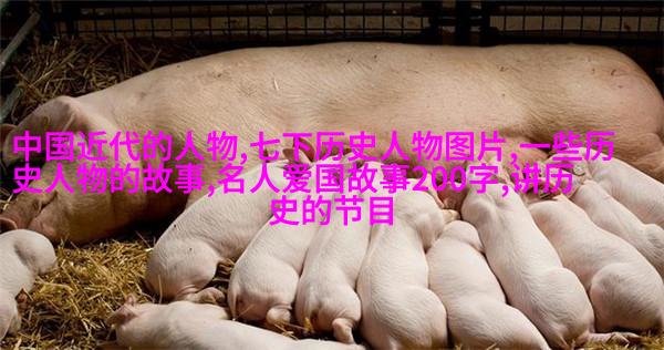 迈克尔斯